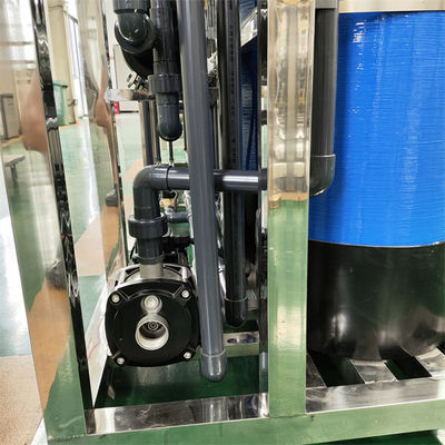 RO 1T/H Machine de traitement de l'eau purifiée bipolaire